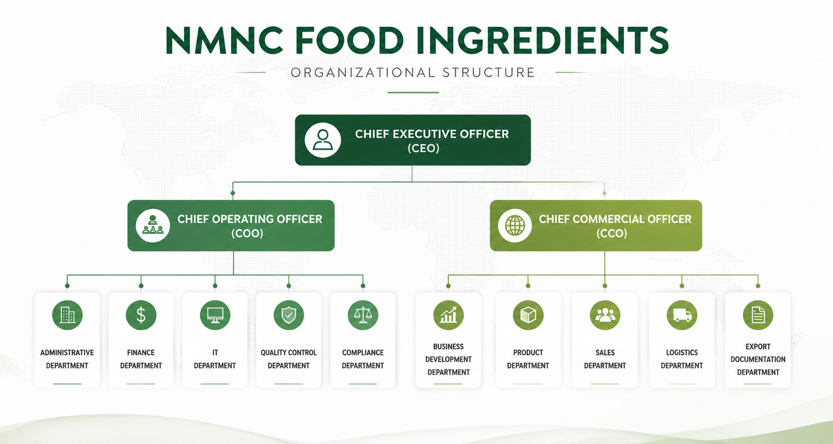 Organizational Structure Diagram